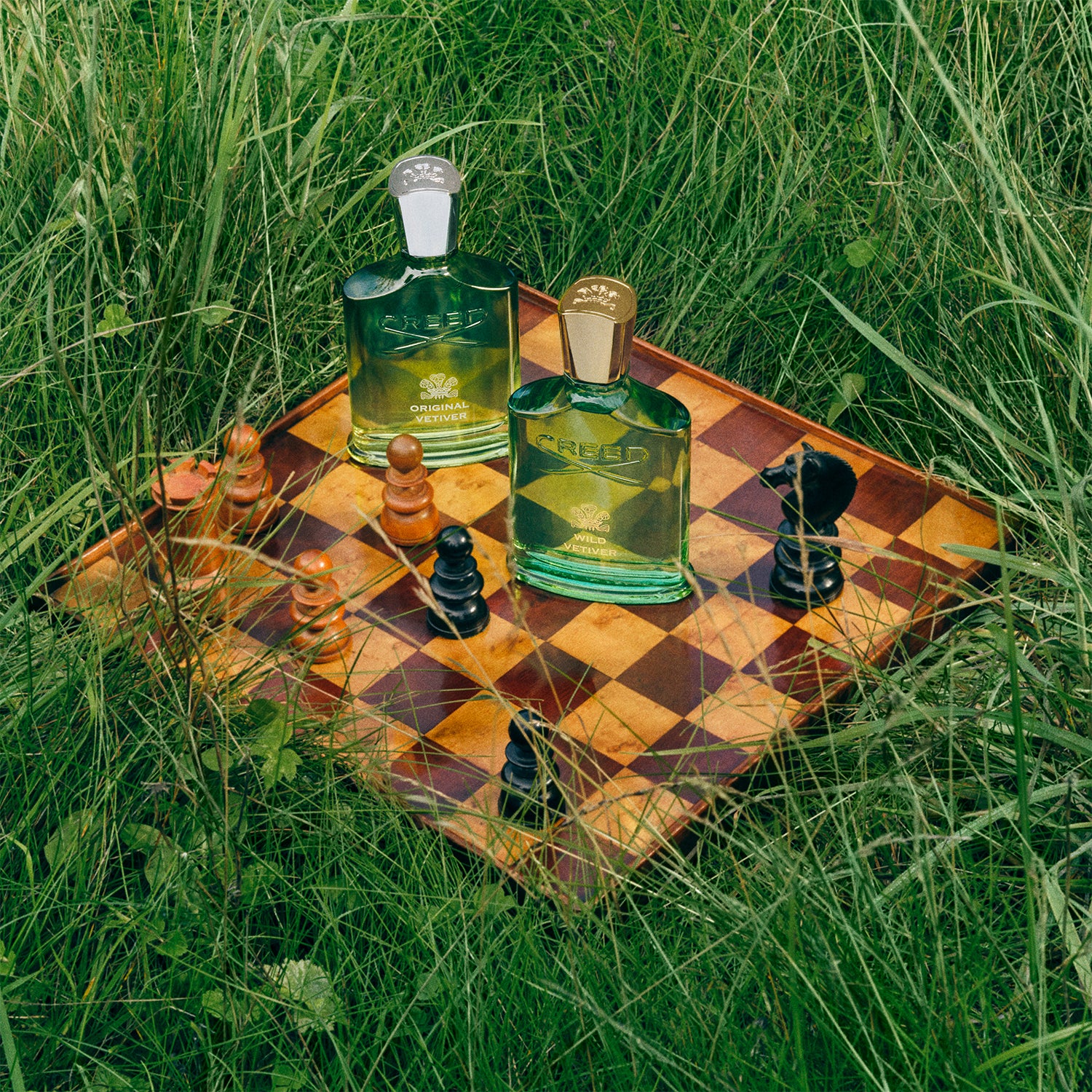 Welcome to Our Store